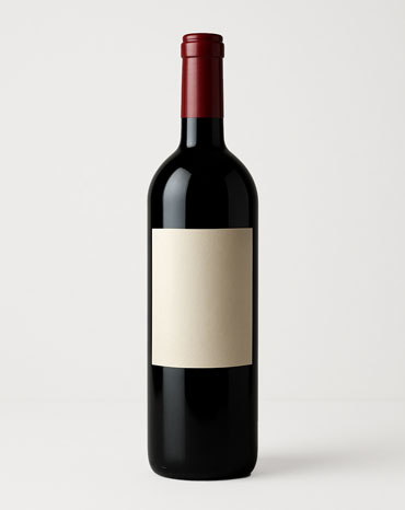 SIDRA EL GAITERO
